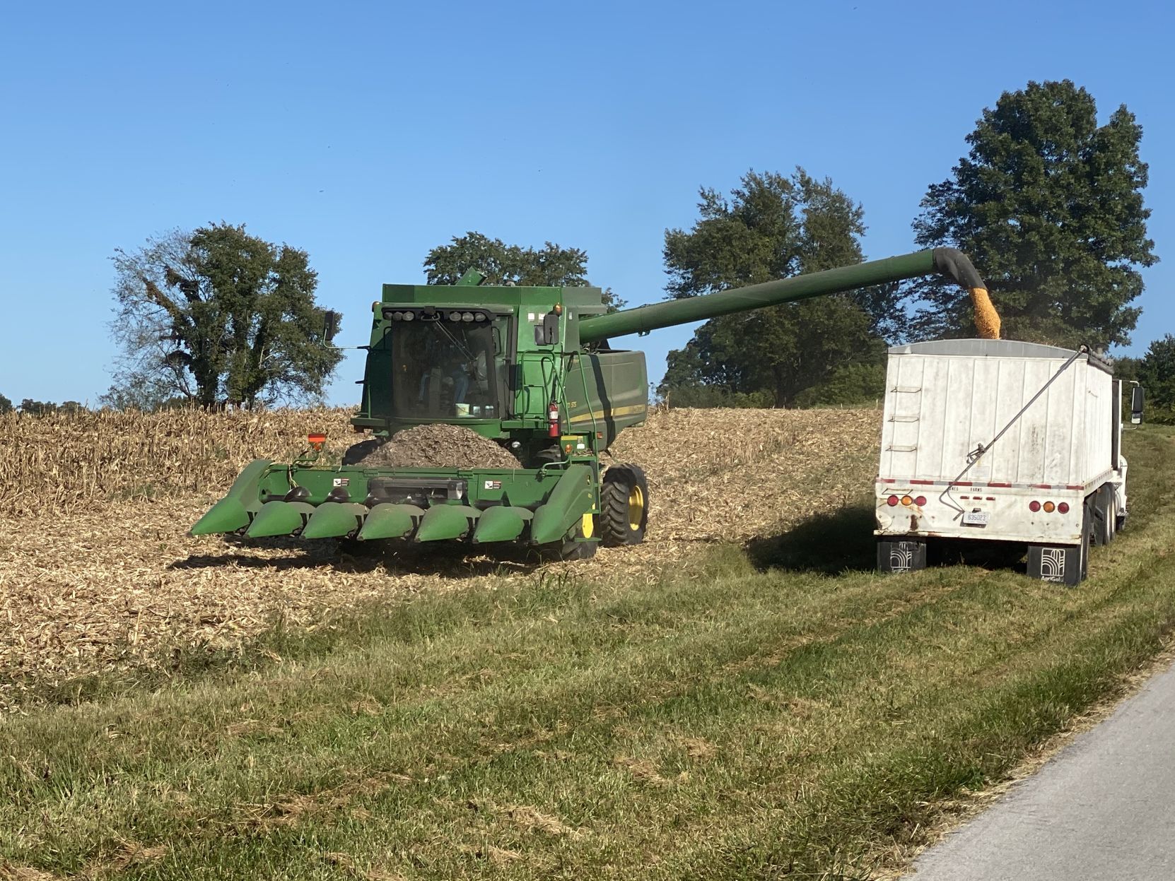 Fall Harvest